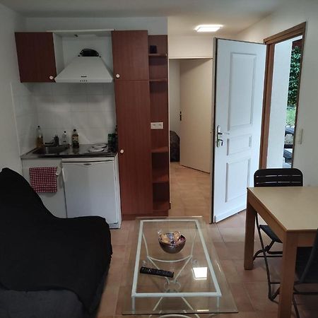 Apartament Deux Pieces Avec Grande Terrasse Au Calme Saint-Martin-Vésubie Zewnętrze zdjęcie