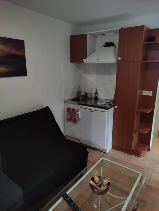 Apartament Deux Pieces Avec Grande Terrasse Au Calme Saint-Martin-Vésubie Zewnętrze zdjęcie