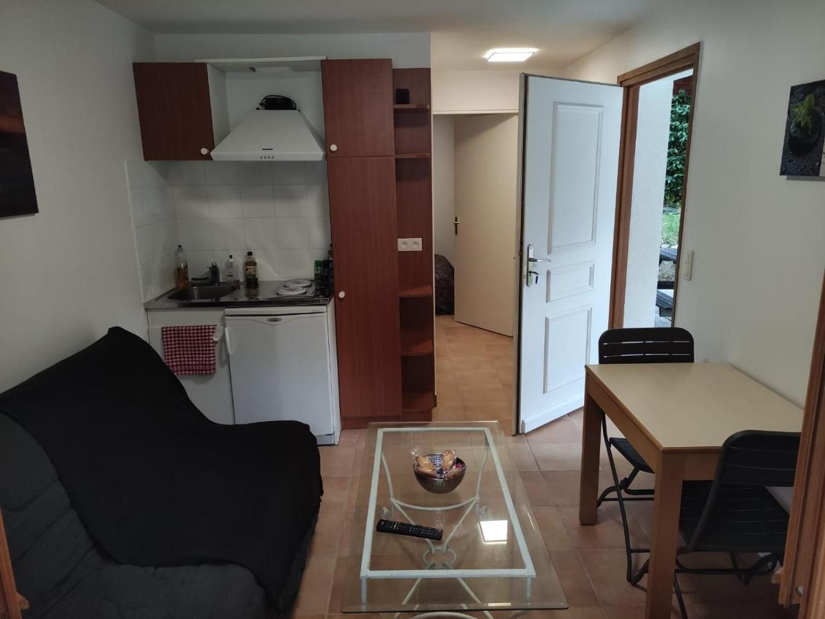 Apartament Deux Pieces Avec Grande Terrasse Au Calme Saint-Martin-Vésubie Zewnętrze zdjęcie